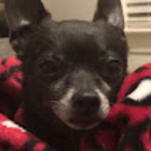 Meet your Posher, Miya